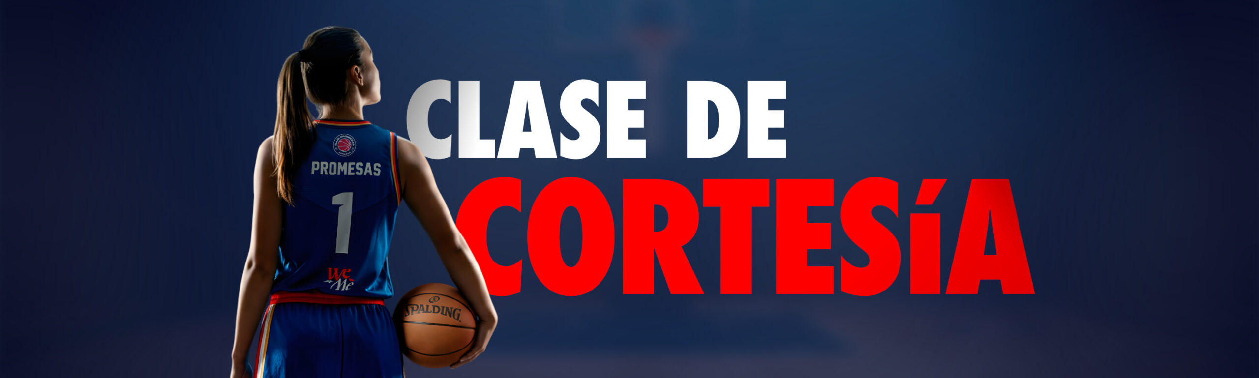 Gemini_Generated_Image_b893v5b893v5b893